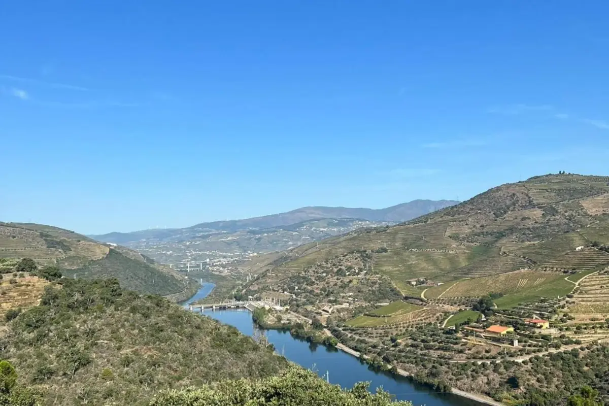 Quinta da Pinguinha - Imagem 45