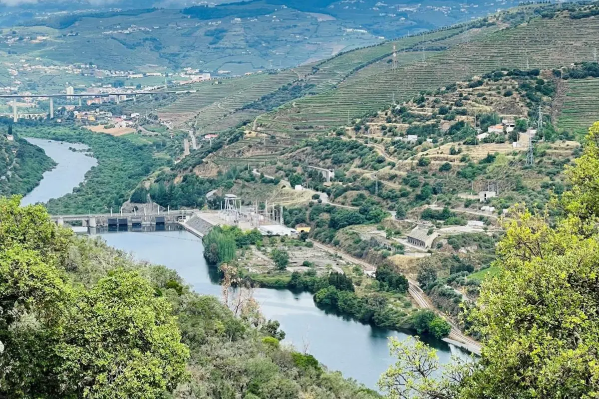 Quinta da Pinguinha - Imagem 10