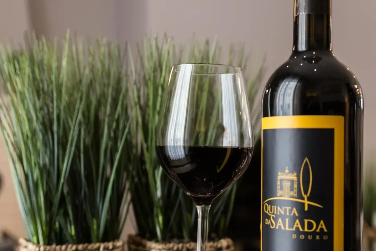 Quinta da Salada - Alojamento Local Douro - Imagem 22