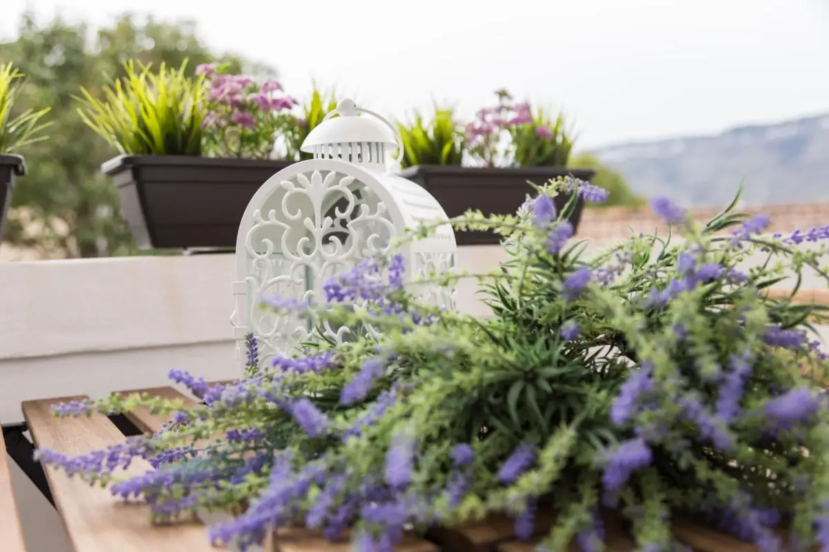 Quinta da Salada - Alojamento Local Douro - Imagem 63