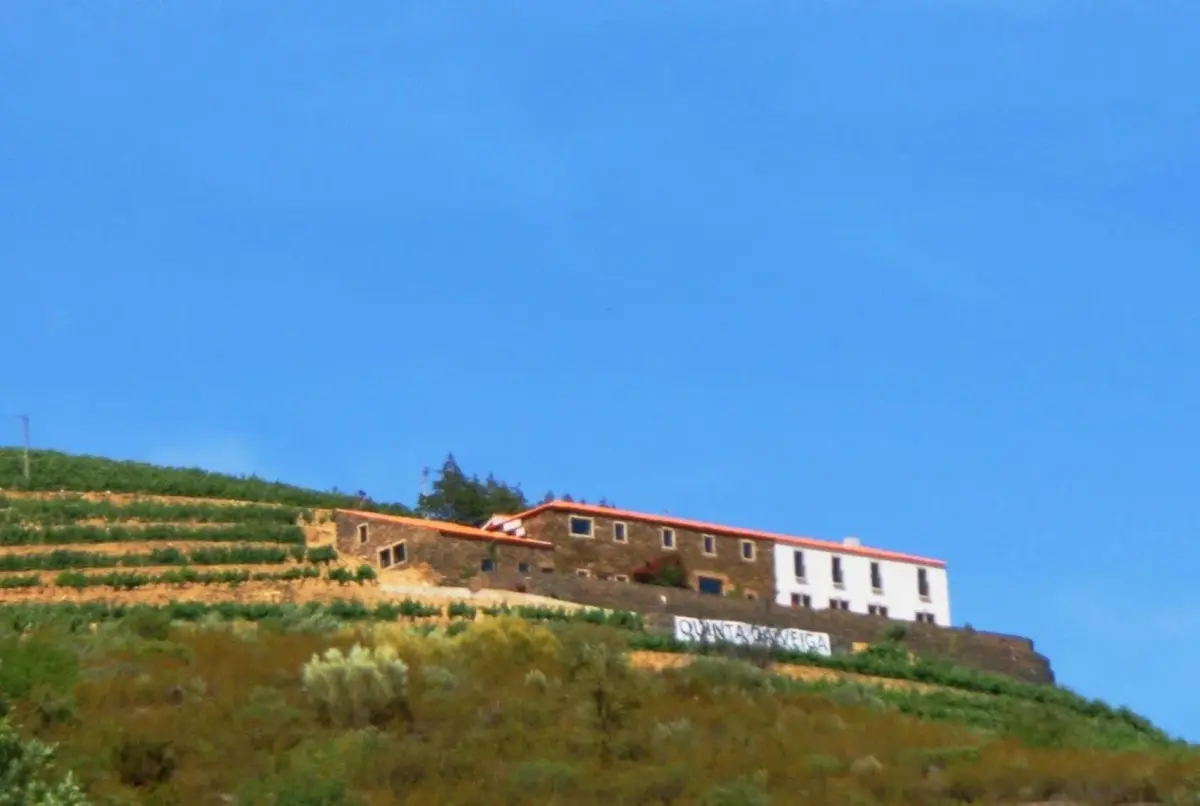 Discover Quinta da Veiga: The Perfect Refuge for Everyone - Imagem 19