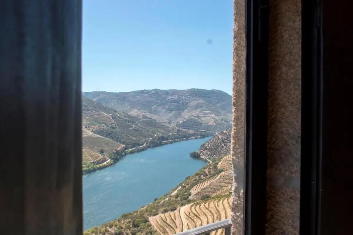 Discover Quinta da Veiga: The Perfect Refuge for Everyone - Imagem 24