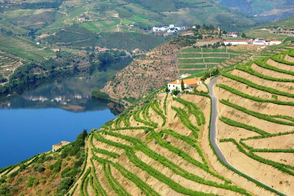 Discover Quinta da Veiga: The Perfect Refuge for Everyone - Imagem 33