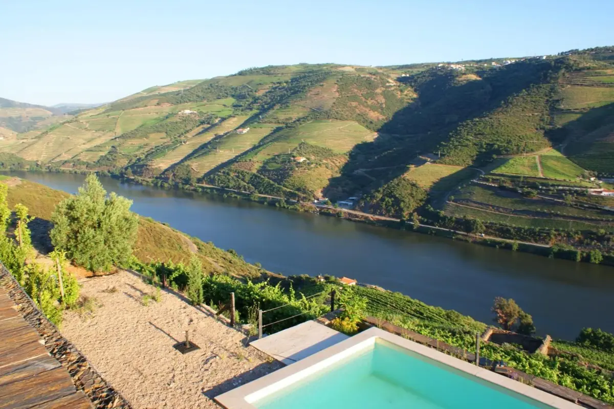 Discover Quinta da Veiga: The Perfect Refuge for Everyone - Imagem 39