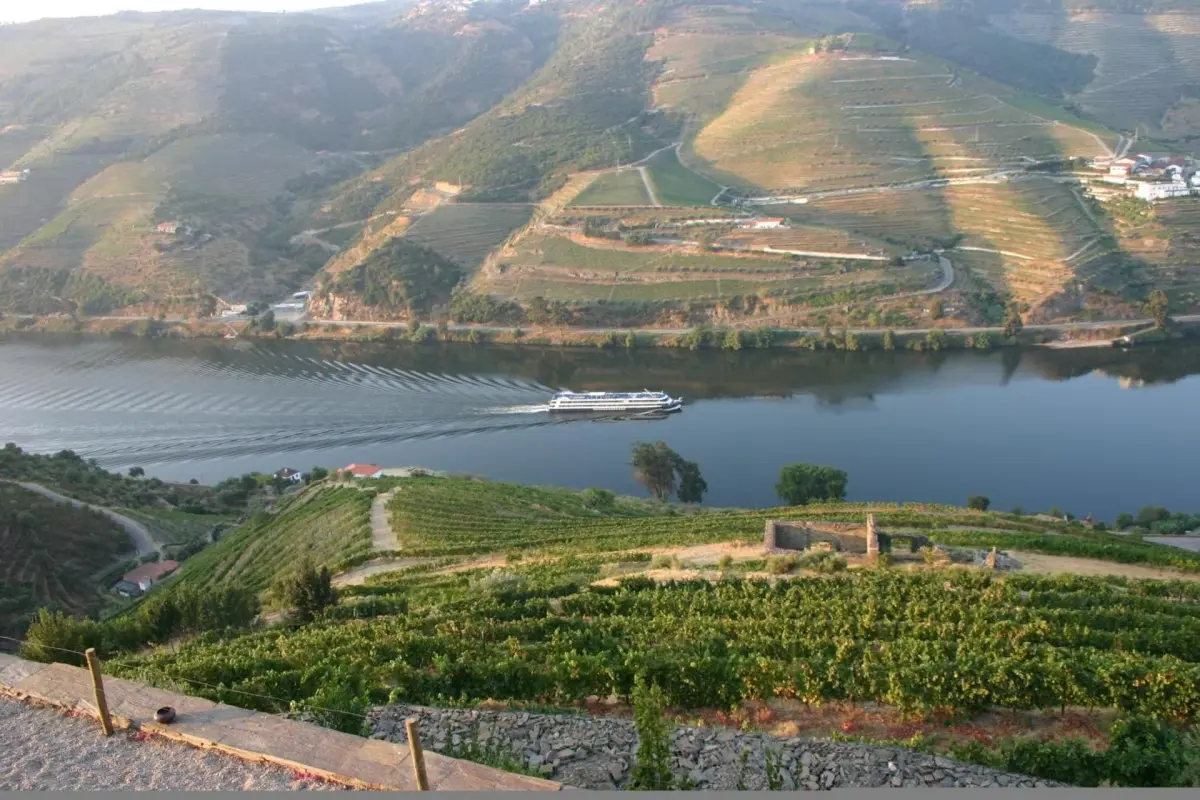 Discover Quinta da Veiga: The Perfect Refuge for Everyone - Imagem 41