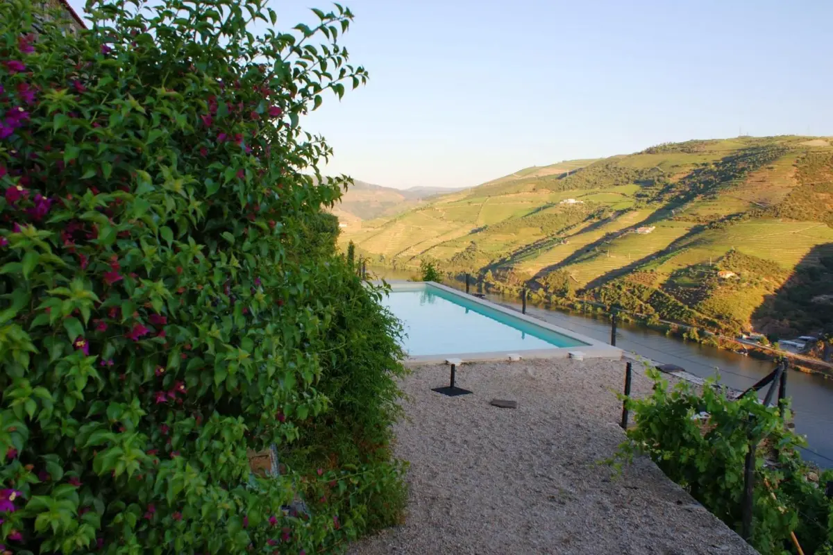 Discover Quinta da Veiga: The Perfect Refuge for Everyone - Imagem 43