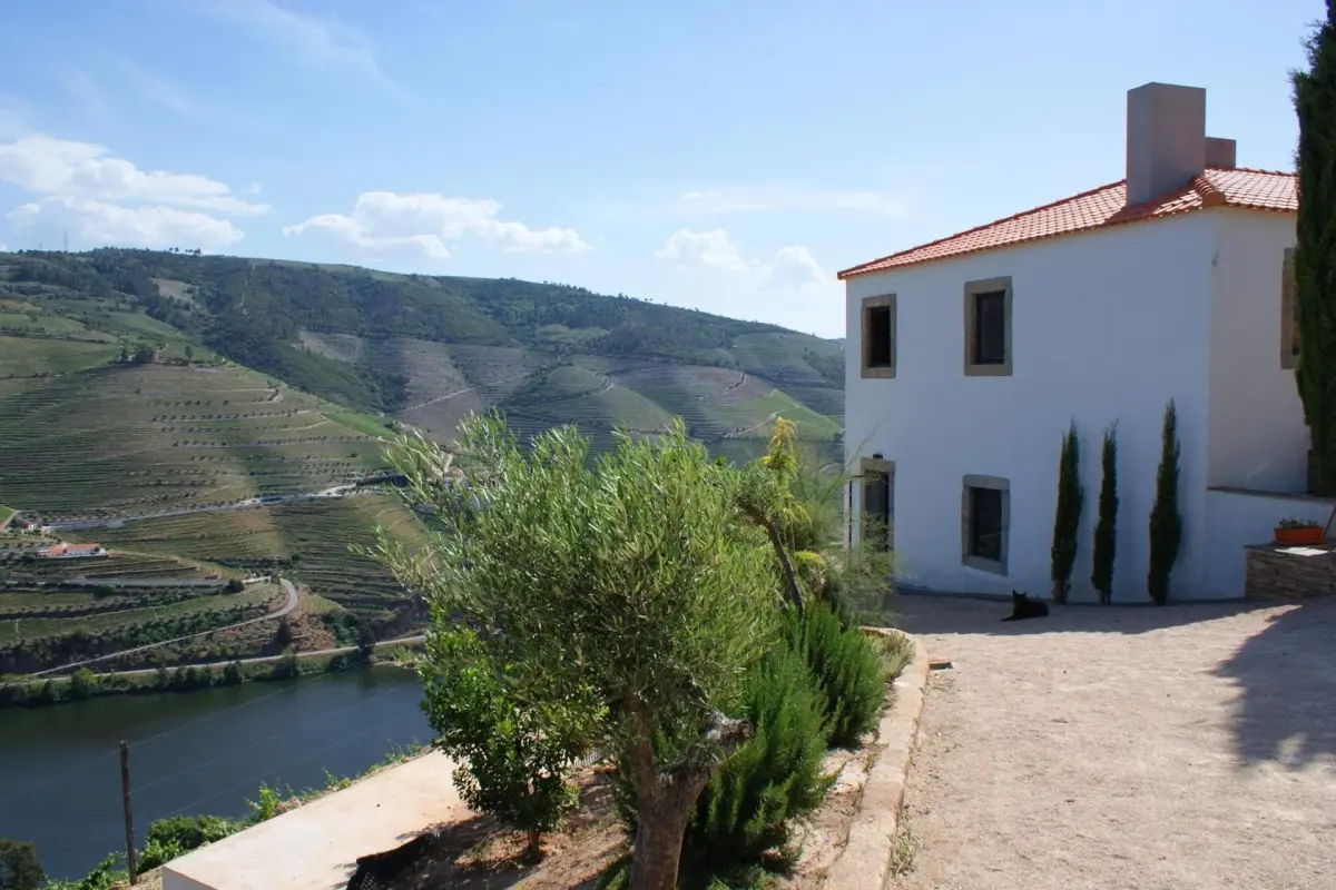 Discover Quinta da Veiga: The Perfect Refuge for Everyone - Imagem 44