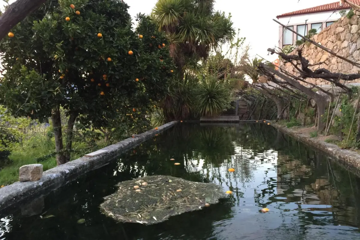 Descubra a Quinta de CasalMato: Um Refúgio de Experiência e Conforto - Imagem 86