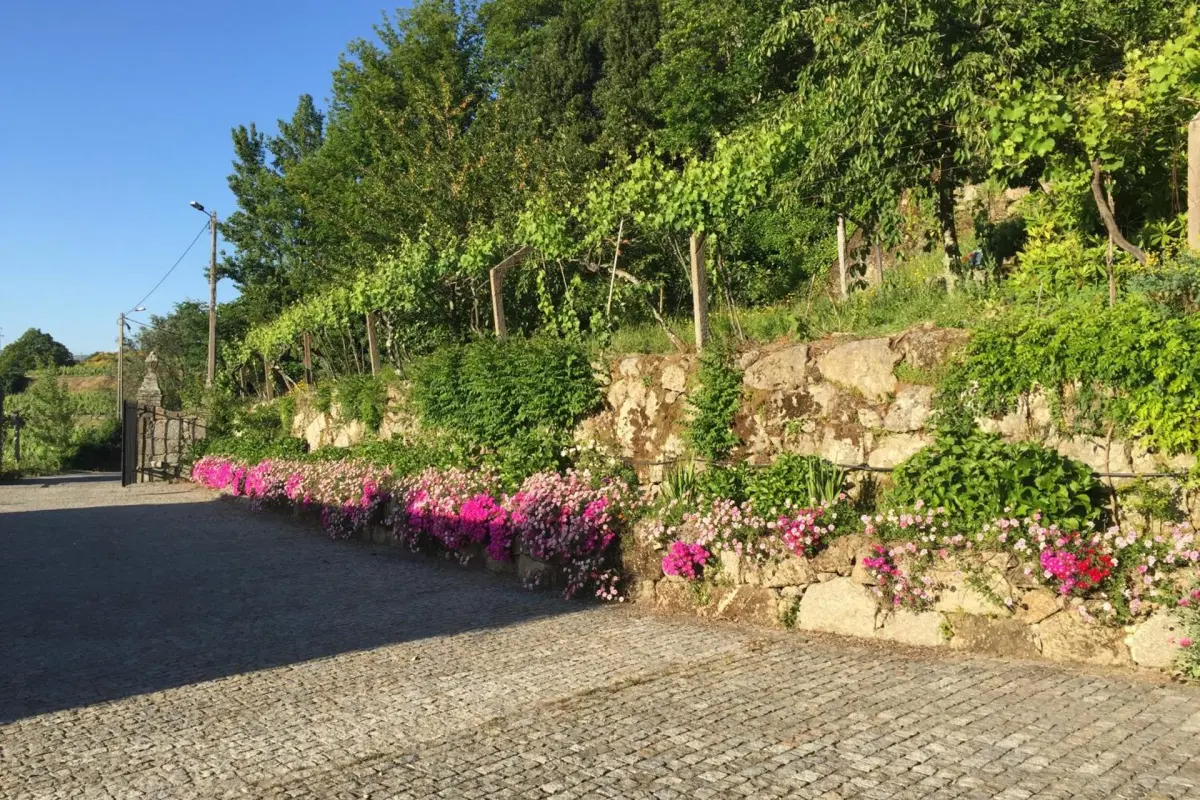 Discover the CasalMato Farm: Your Unmatched Hospitality Experience - Imagem 32