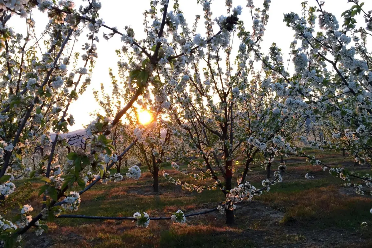 Discover the CasalMato Farm: Your Unmatched Hospitality Experience - Imagem 49