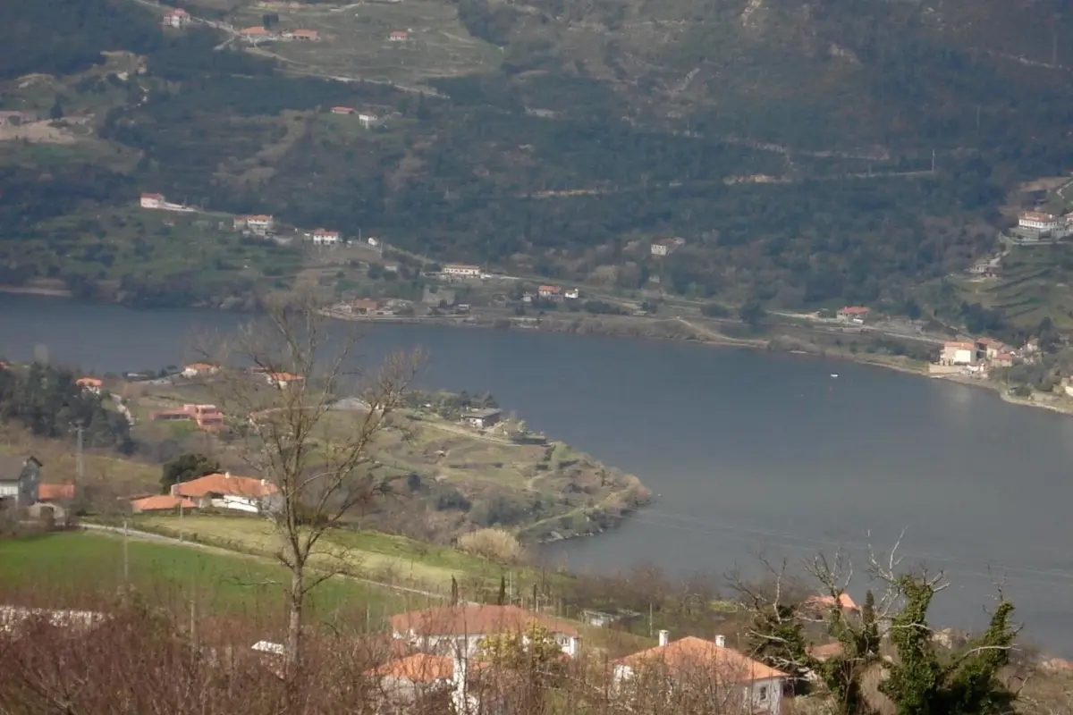 Discover the CasalMato Farm: Your Unmatched Hospitality Experience - Imagem 69