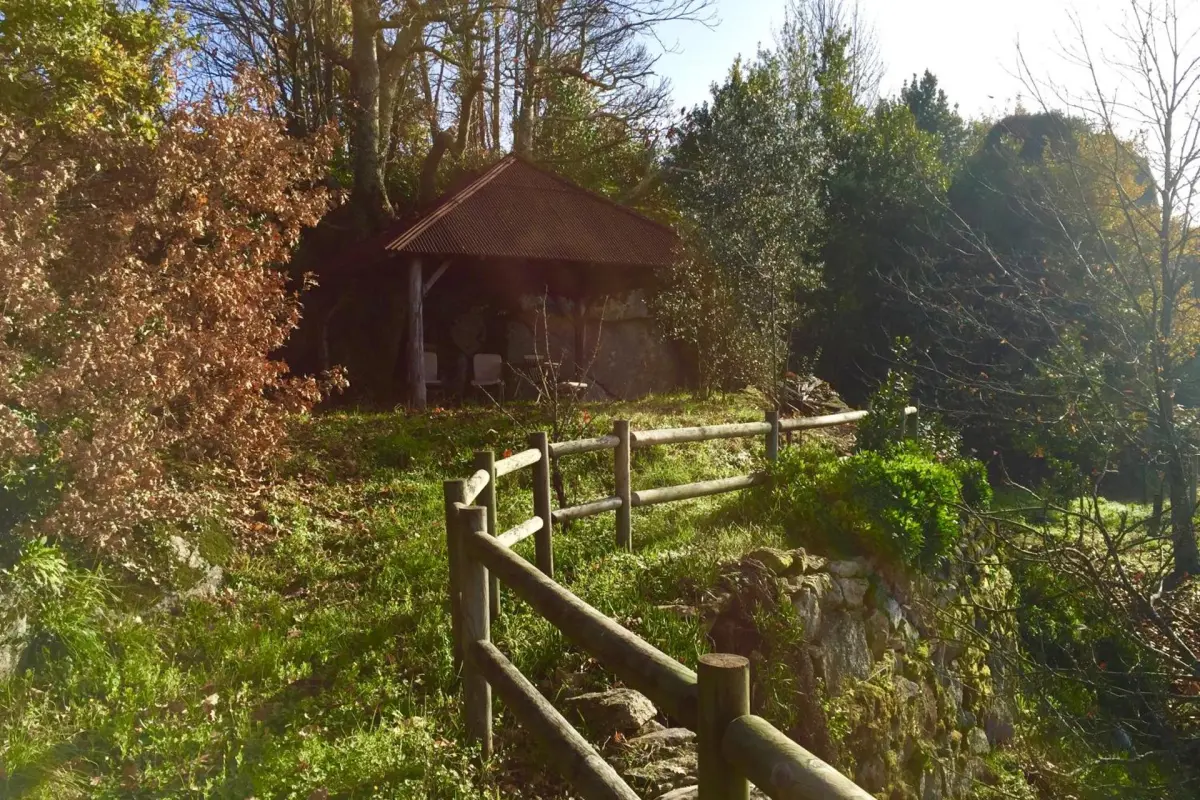 Discover the CasalMato Farm: Your Unmatched Hospitality Experience - Imagem 75