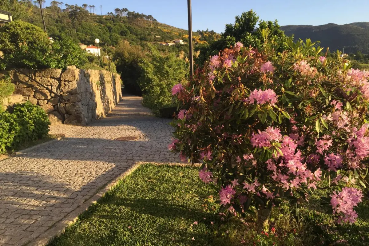 Discover the CasalMato Farm: Your Unmatched Hospitality Experience - Imagem 77