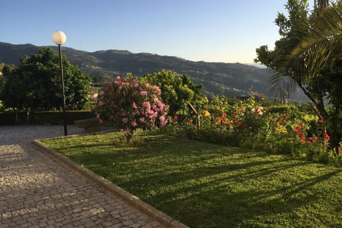 Discover the CasalMato Farm: Your Unmatched Hospitality Experience - Imagem 89