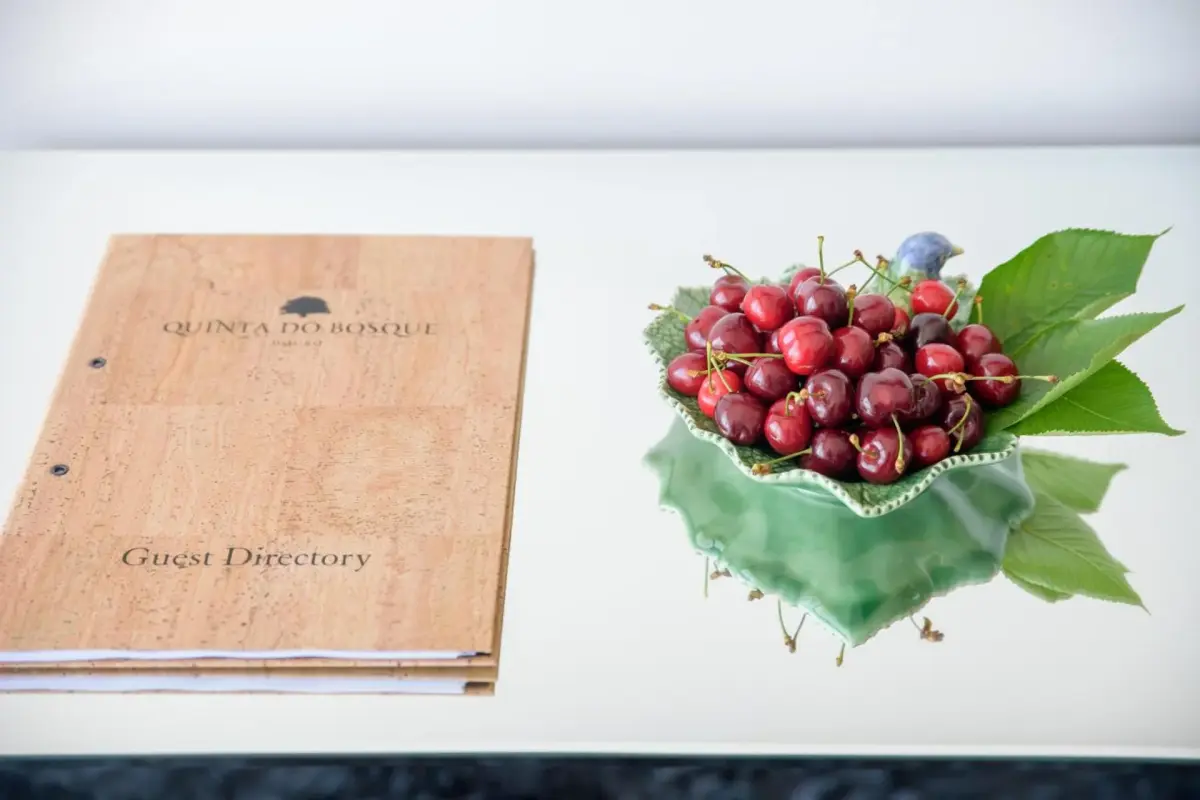 Discover the Charm of Quinta Do Bosque: A Unique Hospitality Experience - Imagem 100