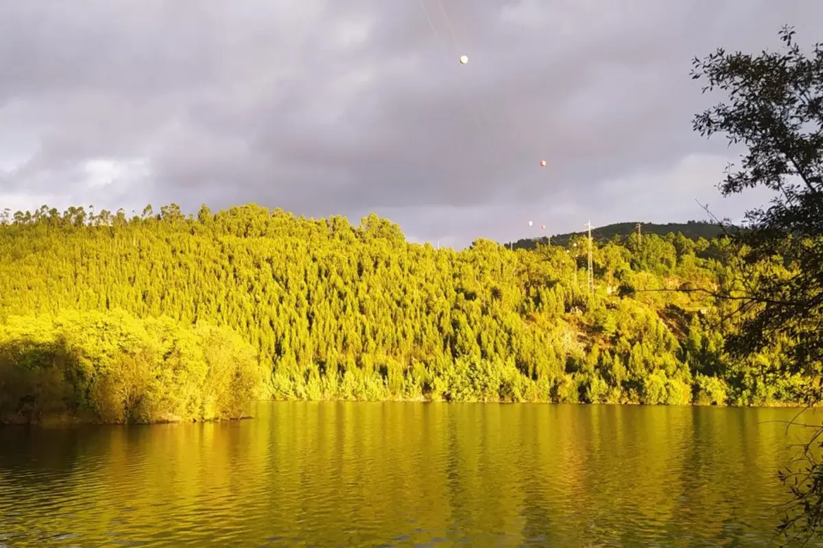 Discover Quinta do Regato Douro: The Perfect Refuge for Everyone - Imagem 40