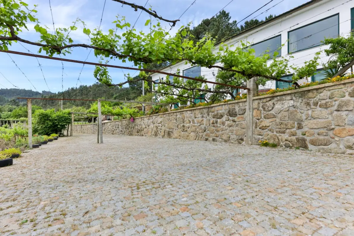 Discover Quinta do Regato Douro: The Perfect Refuge for Everyone - Imagem 71