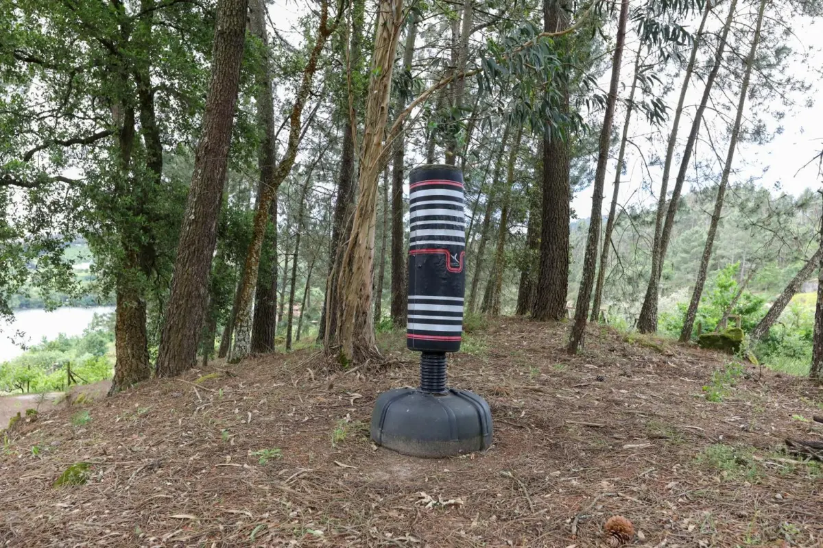 Discover Quinta do Regato Douro: The Perfect Refuge for Everyone - Imagem 93