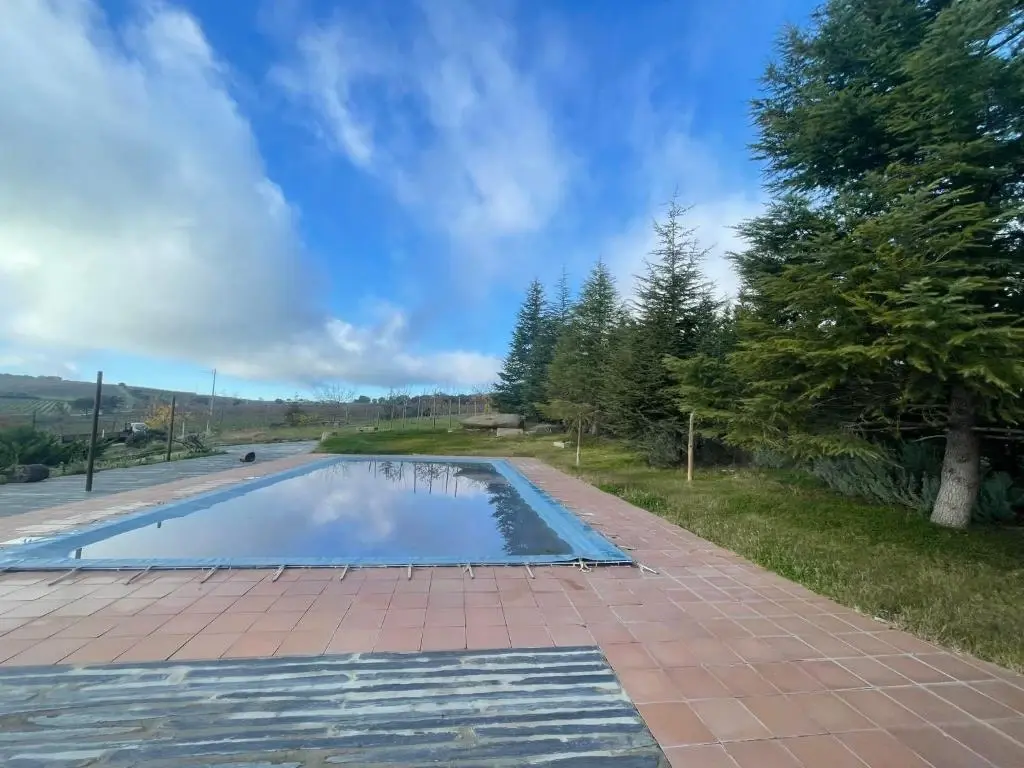 Quinta do Salgueiro - Turismo Rural - Imagem 3