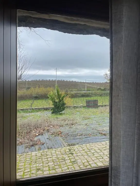 Quinta do Salgueiro - Turismo Rural - Imagem 36