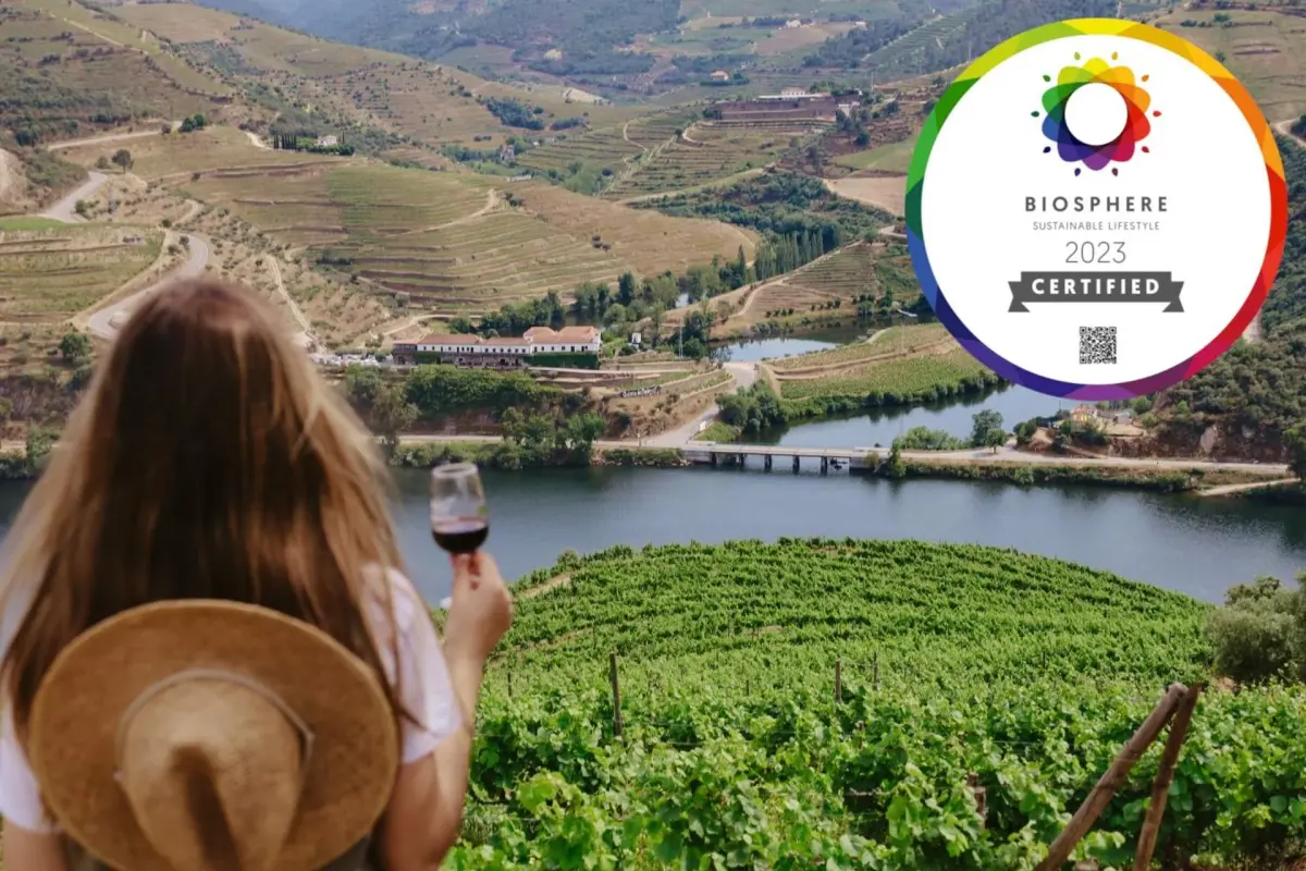 Discover Quinta do Tedo: A Refuge of Charm and Comfort - Imagem 18
