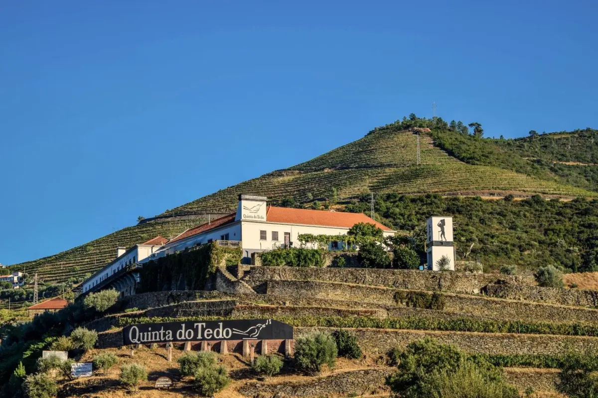 Discover Quinta do Tedo: A Refuge of Charm and Comfort - Imagem 19