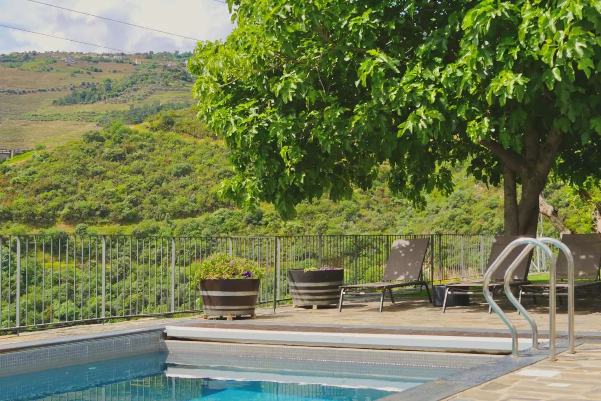 Discover Quinta do Tedo: A Refuge of Charm and Comfort - Imagem 3