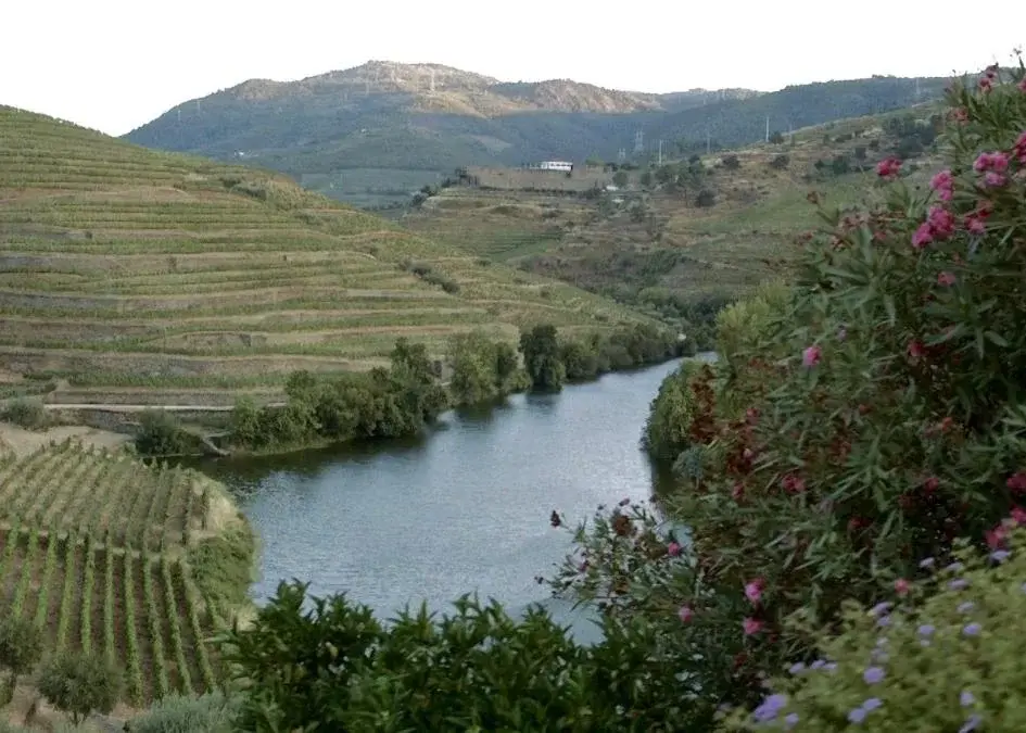Discover Quinta do Tedo: A Refuge of Charm and Comfort - Imagem 23