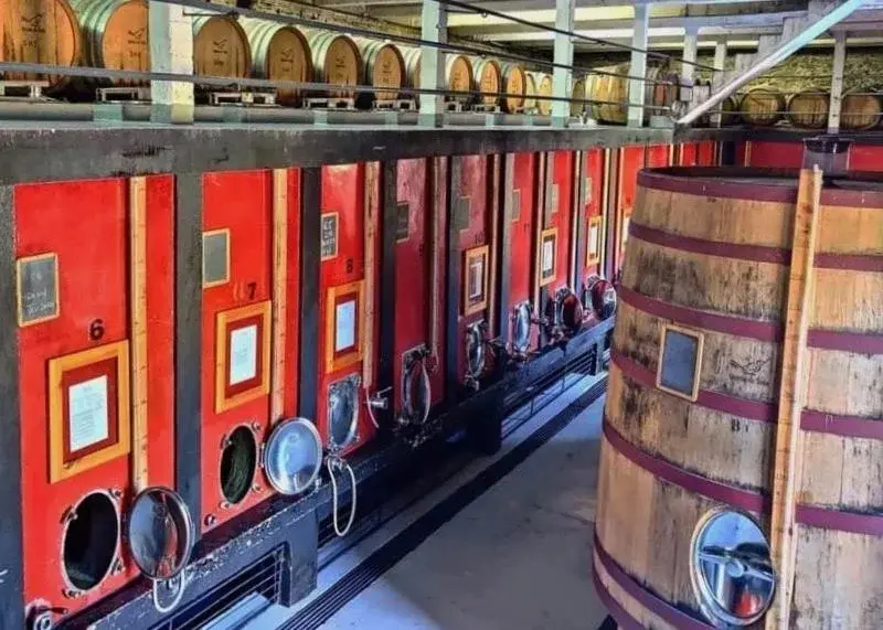 Discover Quinta do Tedo: A Refuge of Charm and Comfort - Imagem 25