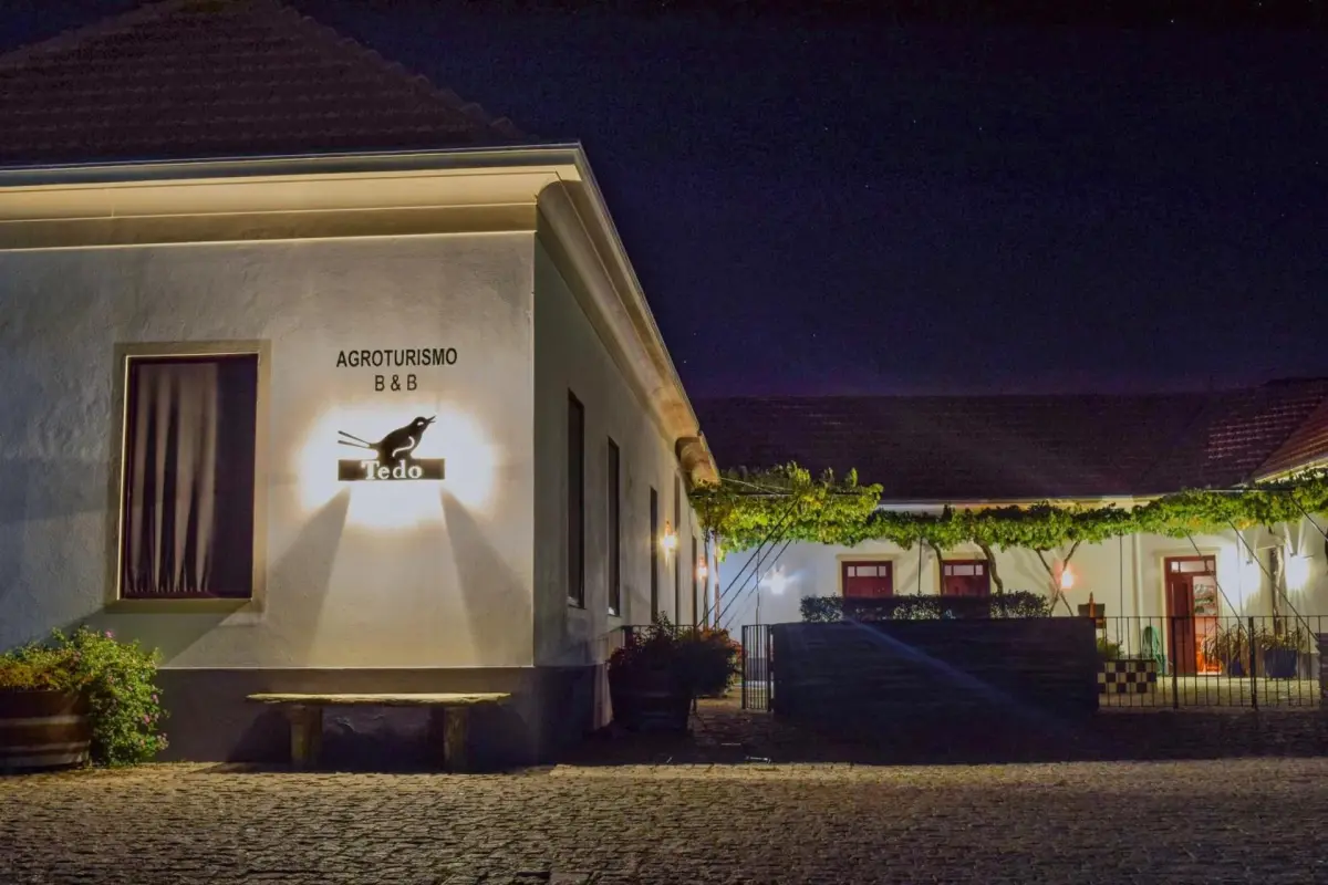 Discover Quinta do Tedo: A Refuge of Charm and Comfort - Imagem 36