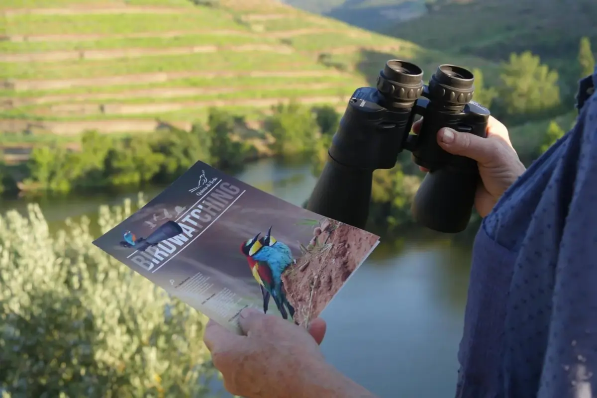 Discover Quinta do Tedo: A Refuge of Charm and Comfort - Imagem 37