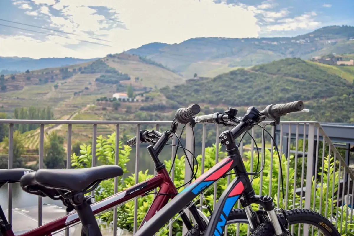 Discover Quinta do Tedo: A Refuge of Charm and Comfort - Imagem 40