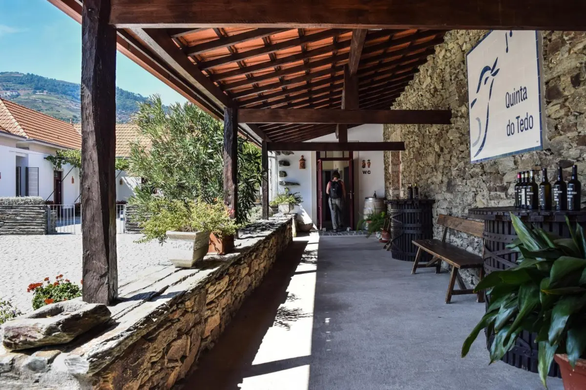 Discover Quinta do Tedo: A Refuge of Charm and Comfort - Imagem 5