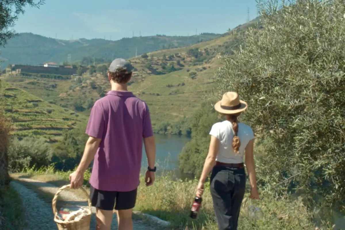 Discover Quinta do Tedo: A Refuge of Charm and Comfort - Imagem 41