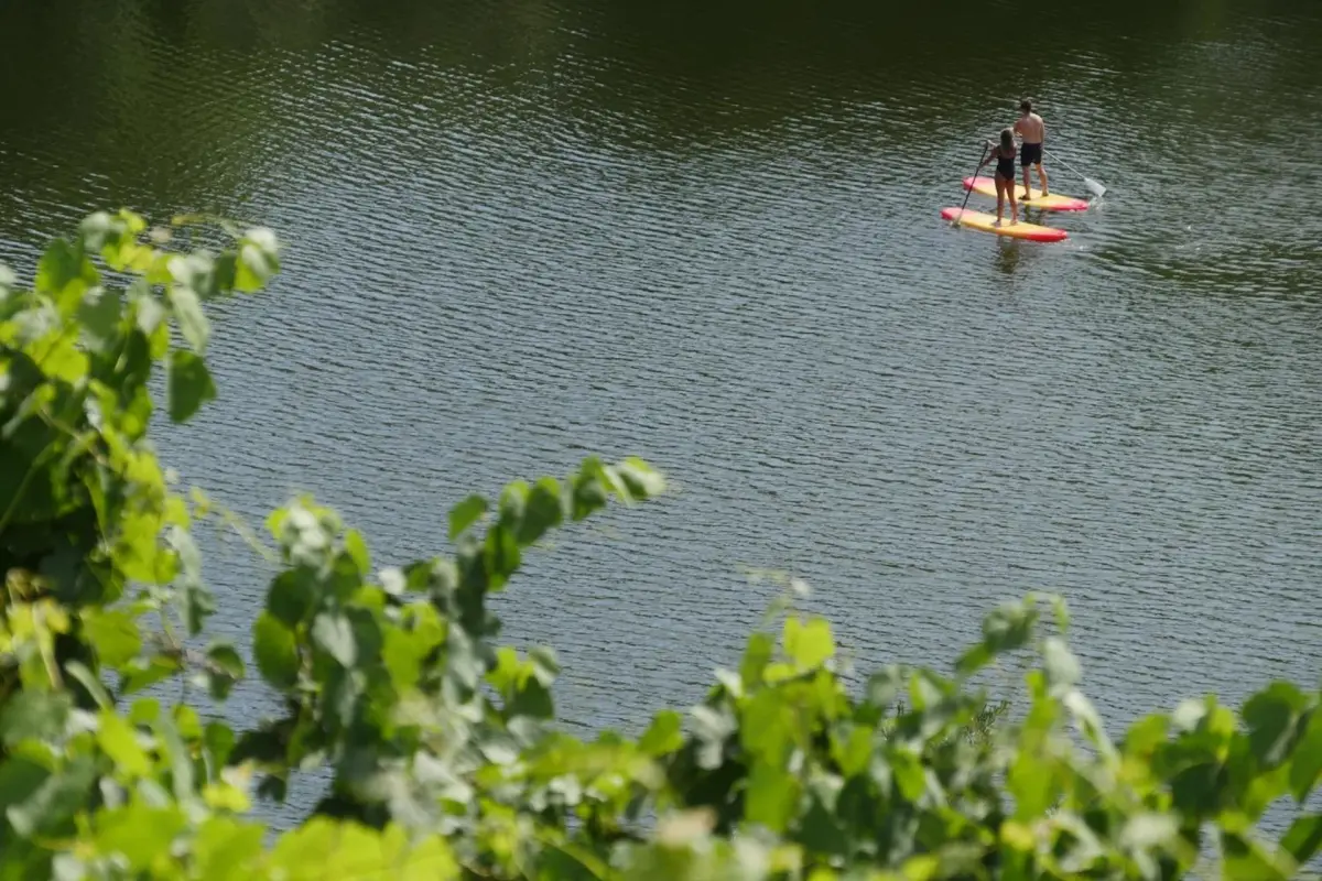 Discover Quinta do Tedo: A Refuge of Charm and Comfort - Imagem 43