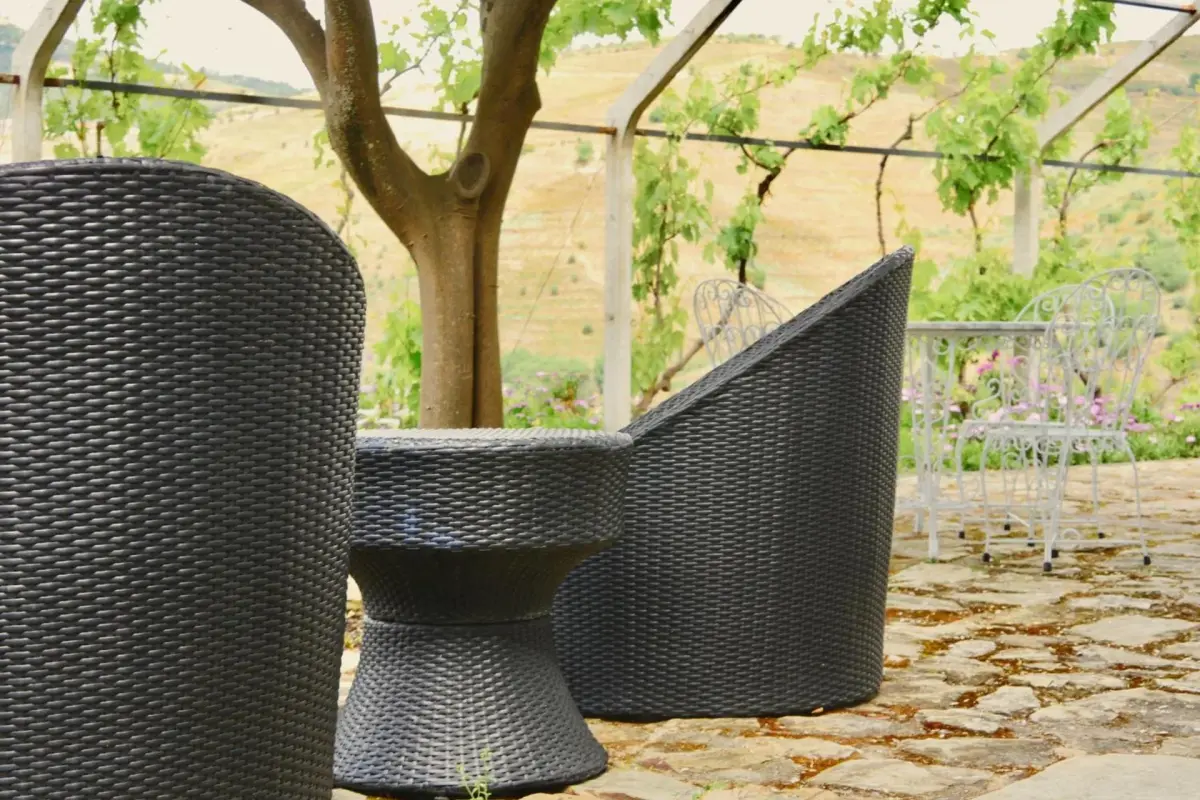 Discover Quinta do Tedo: A Refuge of Charm and Comfort - Imagem 45