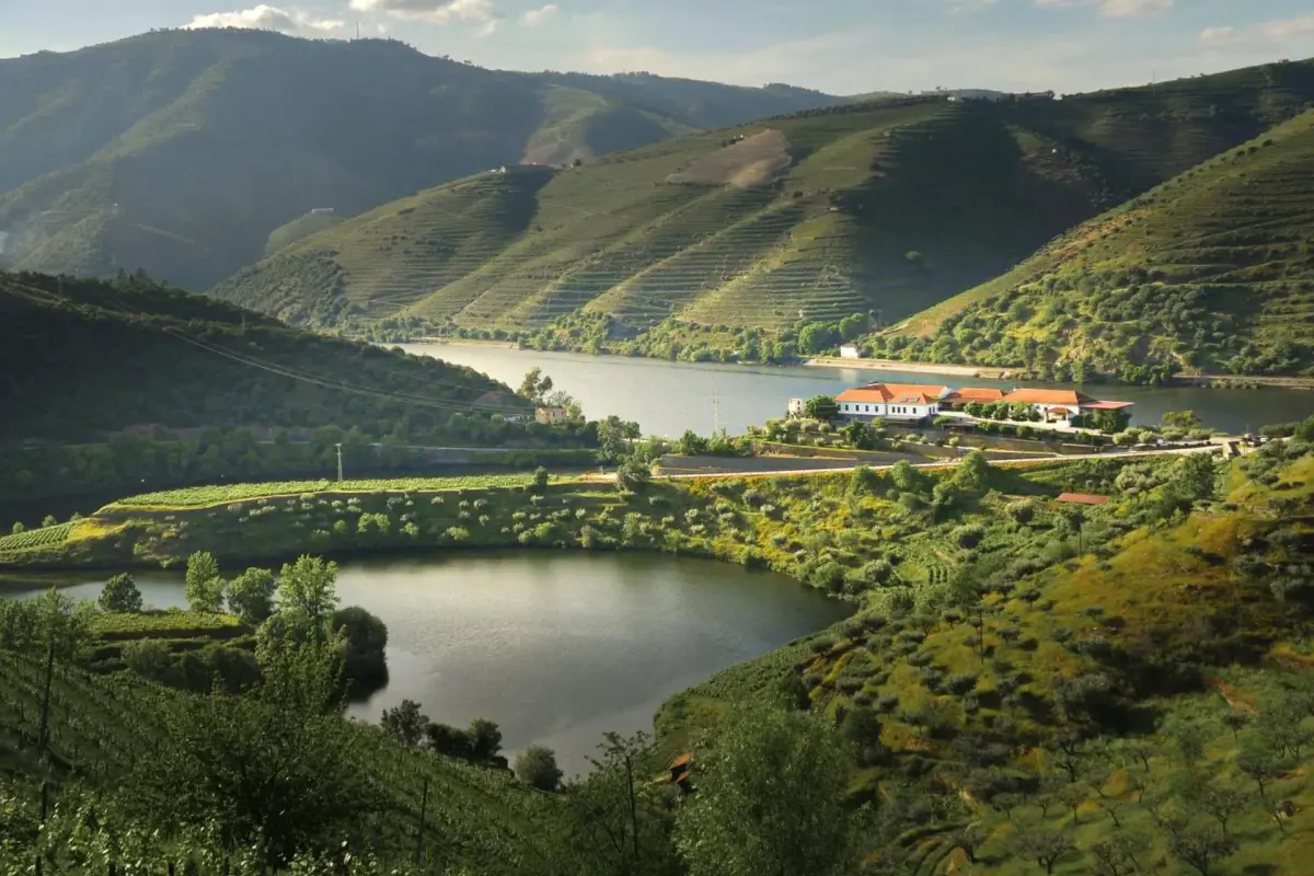 Discover Quinta do Tedo: A Refuge of Charm and Comfort - Imagem 65