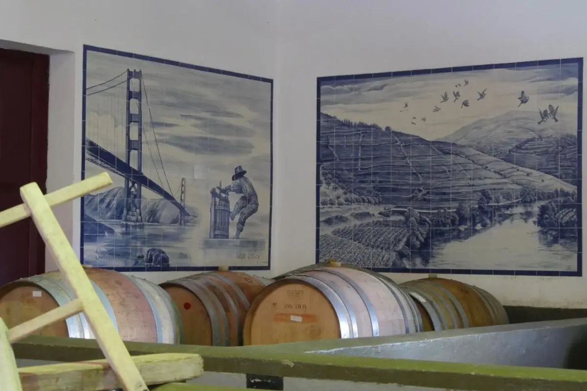 Discover Quinta do Tedo: A Refuge of Charm and Comfort - Imagem 68