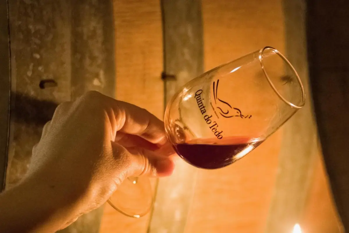 Discover Quinta do Tedo: A Refuge of Charm and Comfort - Imagem 71