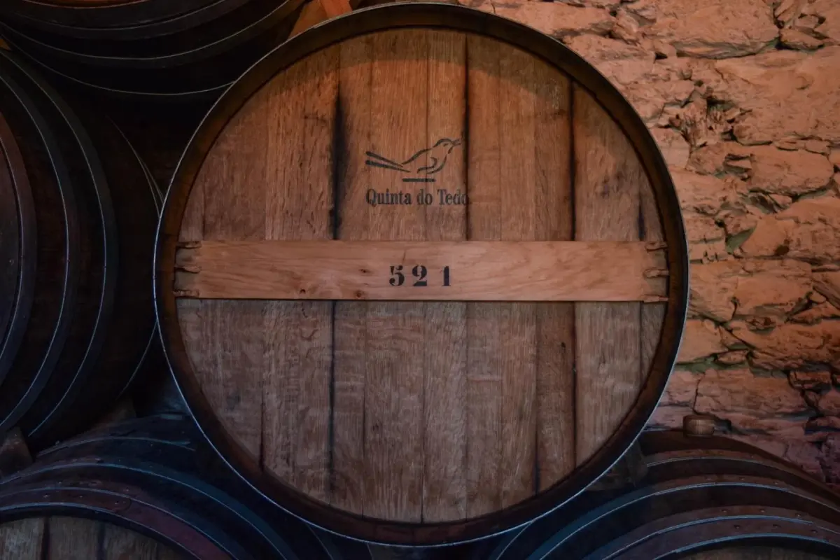 Discover Quinta do Tedo: A Refuge of Charm and Comfort - Imagem 72