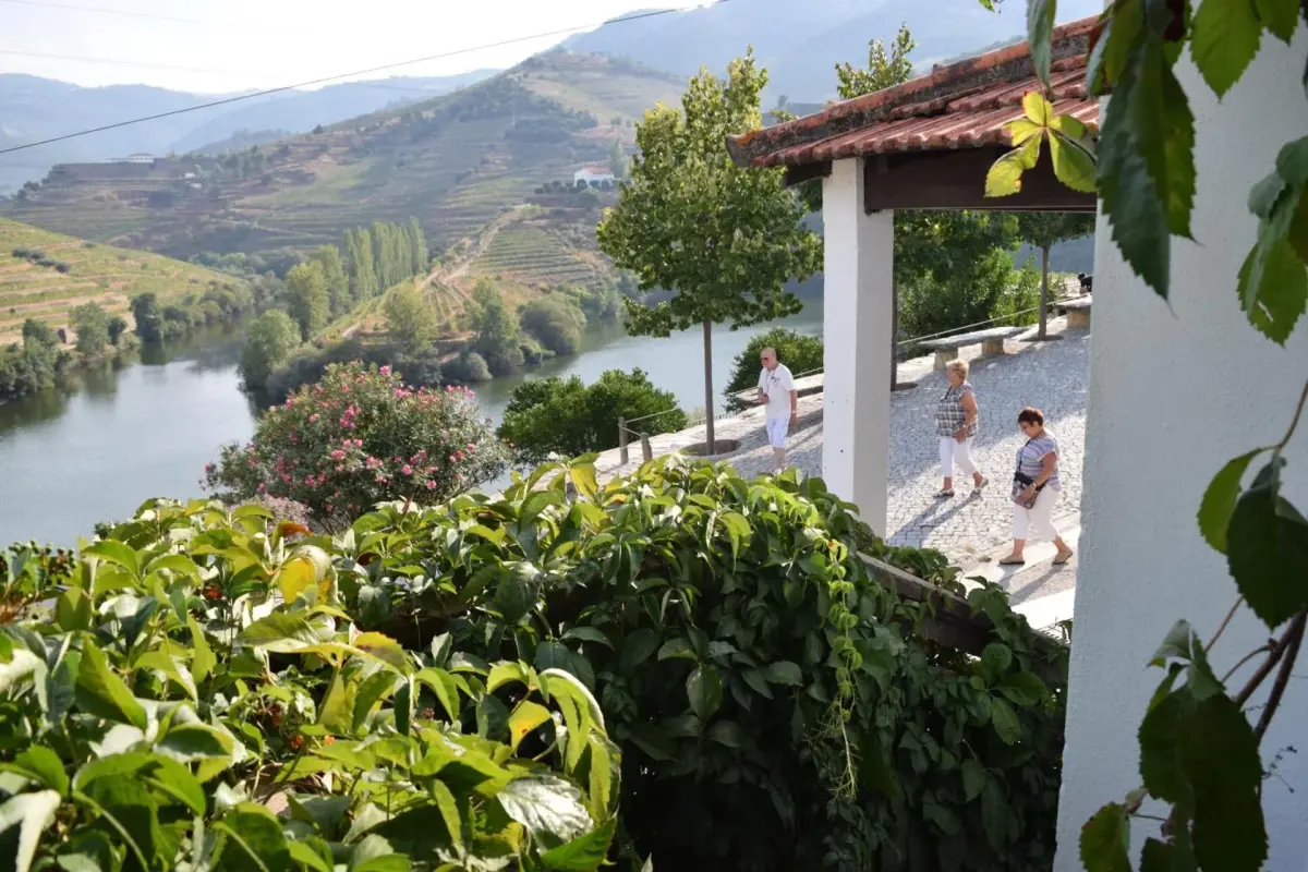 Discover Quinta do Tedo: A Refuge of Charm and Comfort - Imagem 74