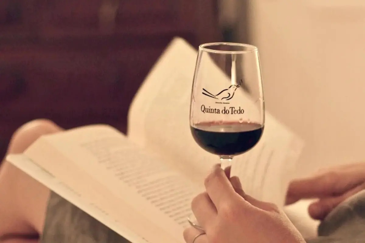 Discover Quinta do Tedo: A Refuge of Charm and Comfort - Imagem 78