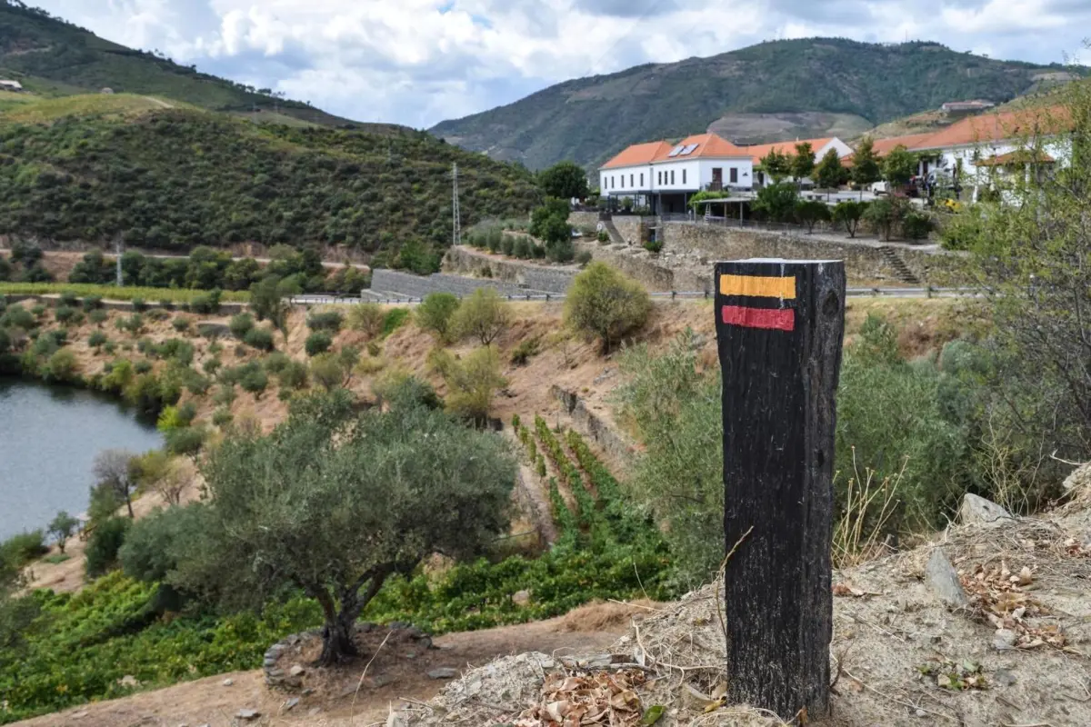 Discover Quinta do Tedo: A Refuge of Charm and Comfort - Imagem 83