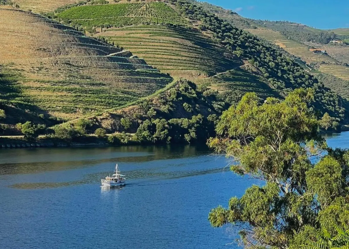 Discover Quinta do Tedo: A Refuge of Charm and Comfort - Imagem 90