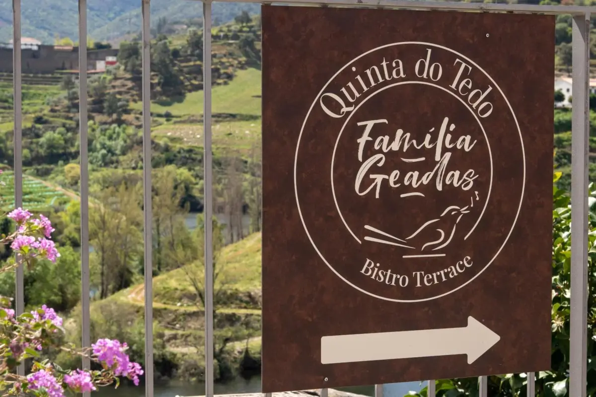 Discover Quinta do Tedo: A Refuge of Charm and Comfort - Imagem 91