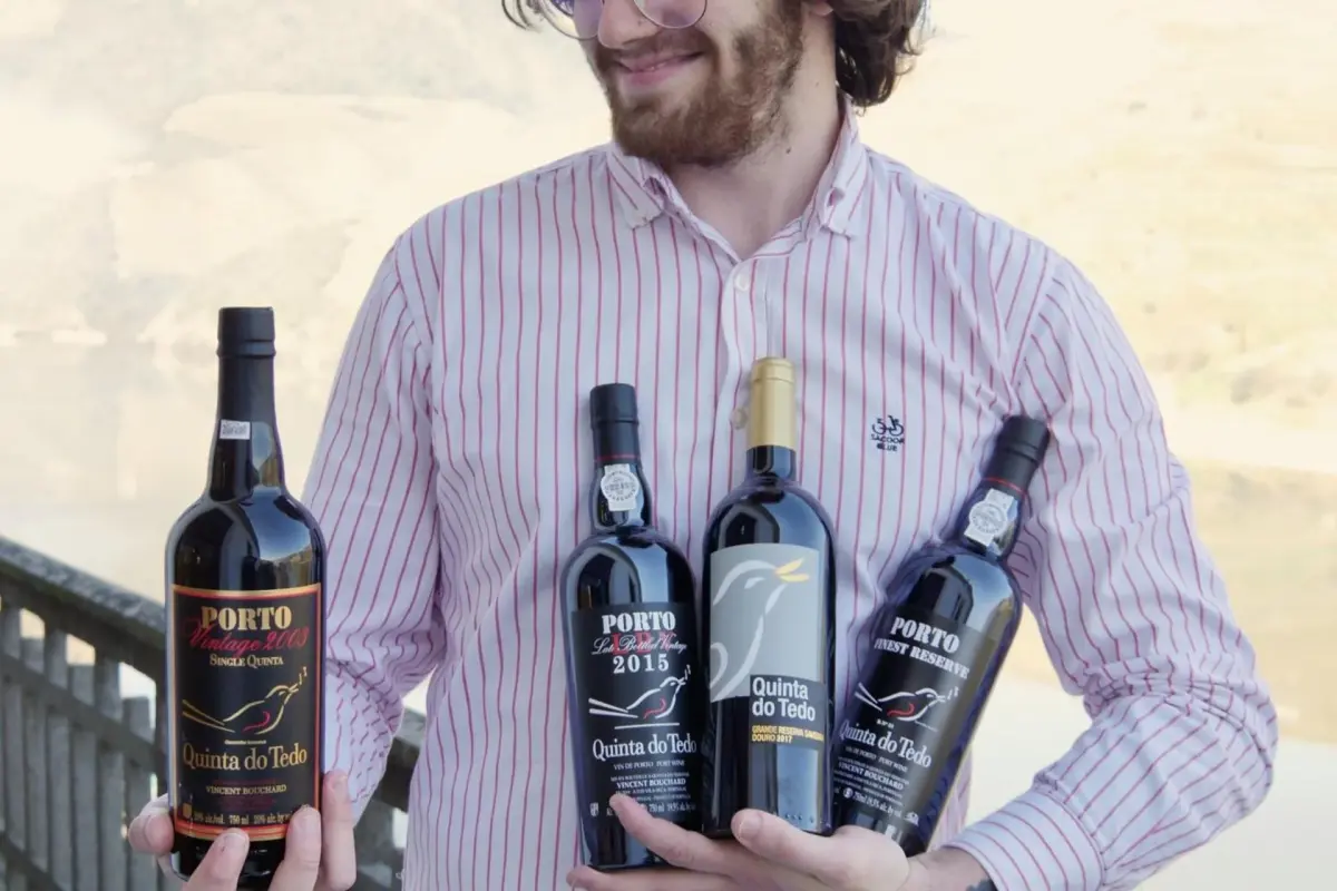 Discover Quinta do Tedo: A Refuge of Charm and Comfort - Imagem 98