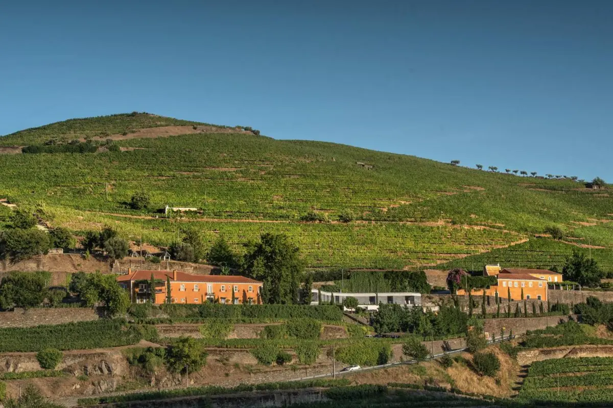 Quinta do Vallado Wine Hotel - Imagem 12