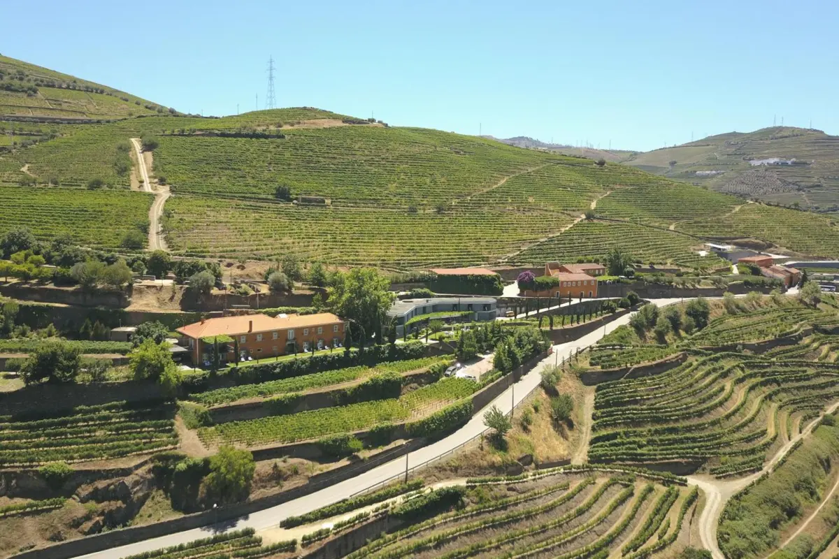 Quinta do Vallado Wine Hotel - Imagem 20