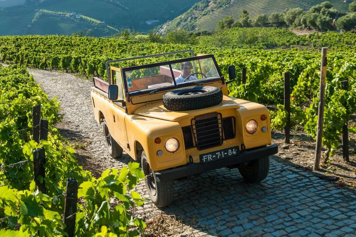 Quinta do Vallado Wine Hotel - Imagem 21