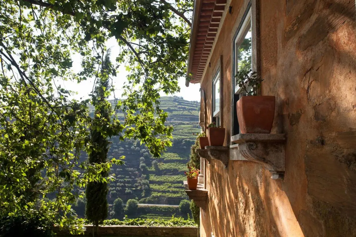 Quinta do Vallado Wine Hotel - Imagem 29